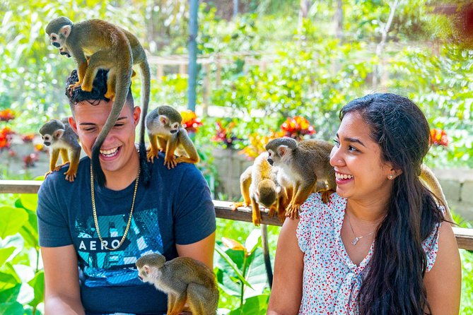 monkeyland-puerto-plata