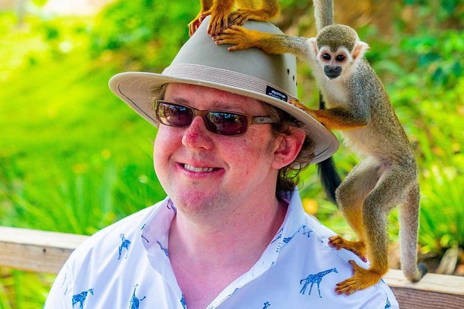 monkeyland-puerto-plata