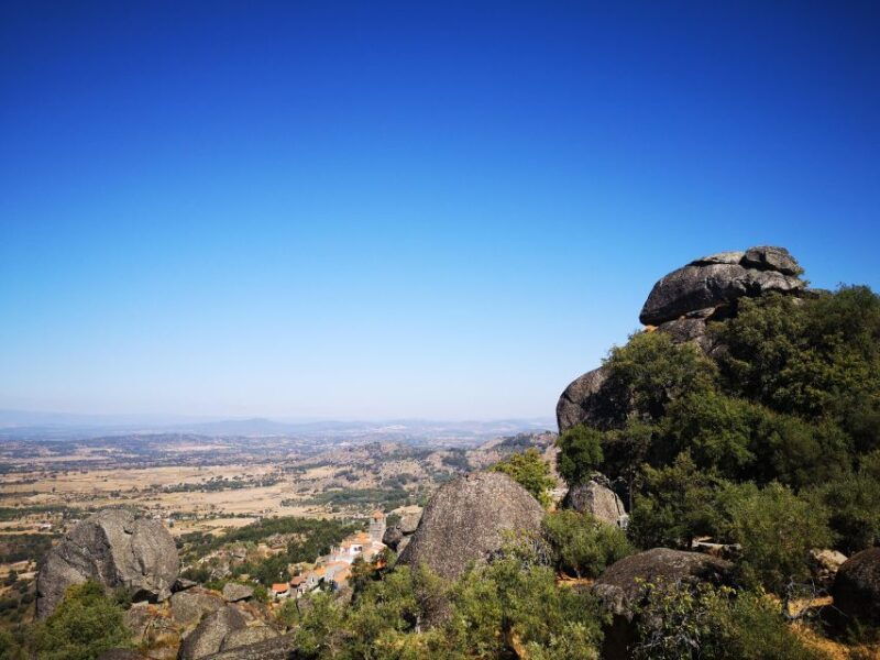 monsanto-guided-tour