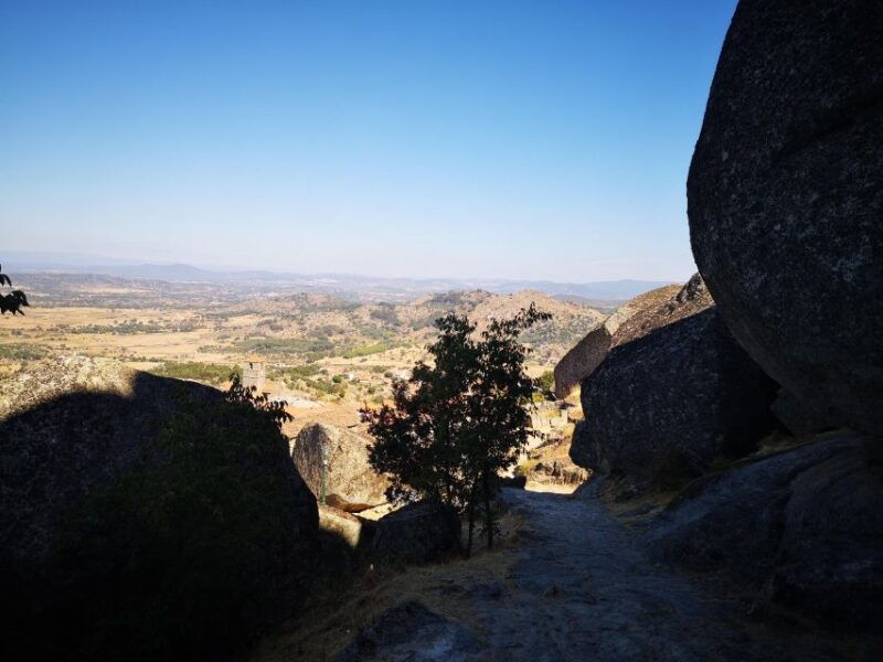 monsanto-guided-tour