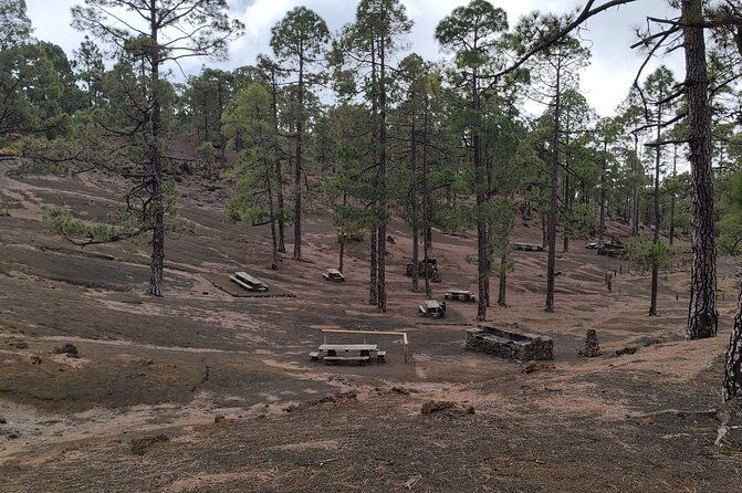 monster-quad-teide-tour