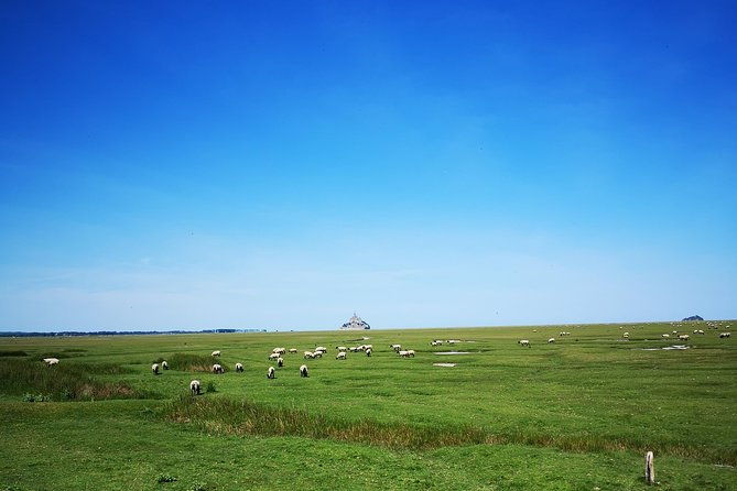 mont-saint-michel-day-trip-from-bayeux-shared-tour