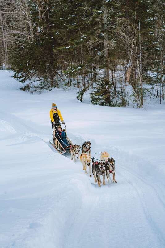 mont-tremblant-dogsledding-upper-laurentians