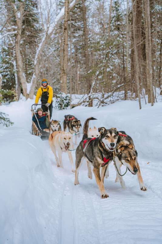 mont-tremblant-dogsledding-upper-laurentians