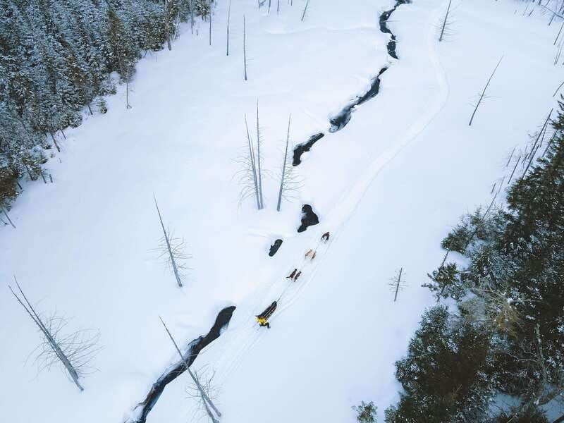 mont-tremblant-dogsledding-upper-laurentians