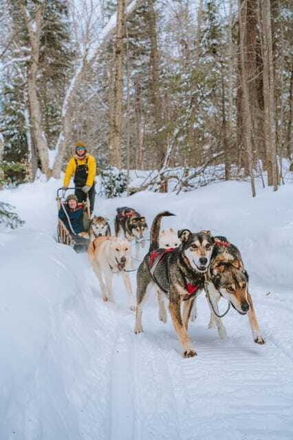 mont-tremblant-dogsledding-upper-laurentians