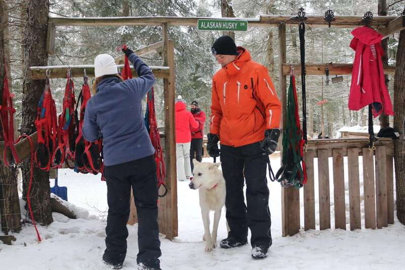 mont-tremblant-dogsledding-valley-adventure