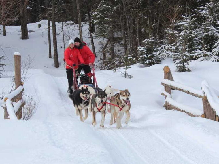 mont-tremblant-dogsledding-valley-adventure