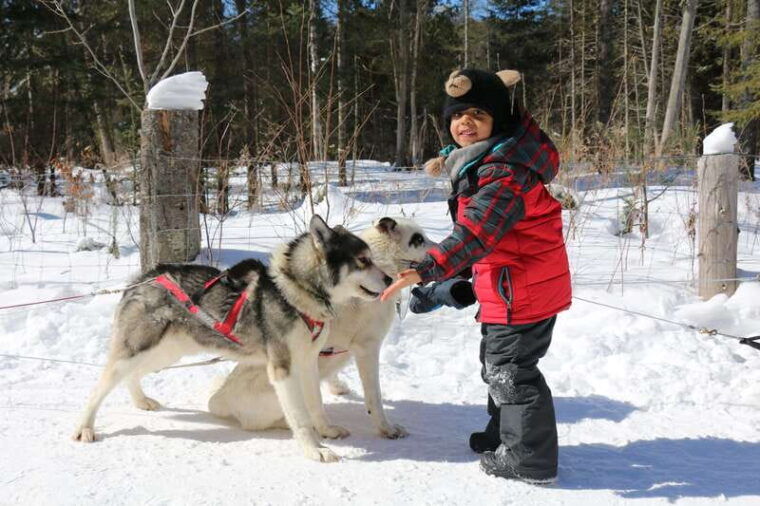 mont-tremblant-dogsledding-valley-adventure