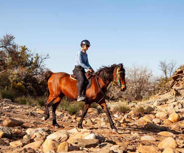 Montagu: 3-Day Horse Riding Adventure with Big 5 Safari - Key Points  