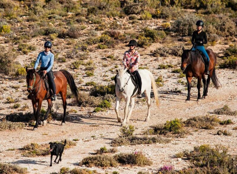 Montagu: 3-Day Horse Riding Adventure with Big 5 Safari - Exploring the 3-Day Journey in Montagu  