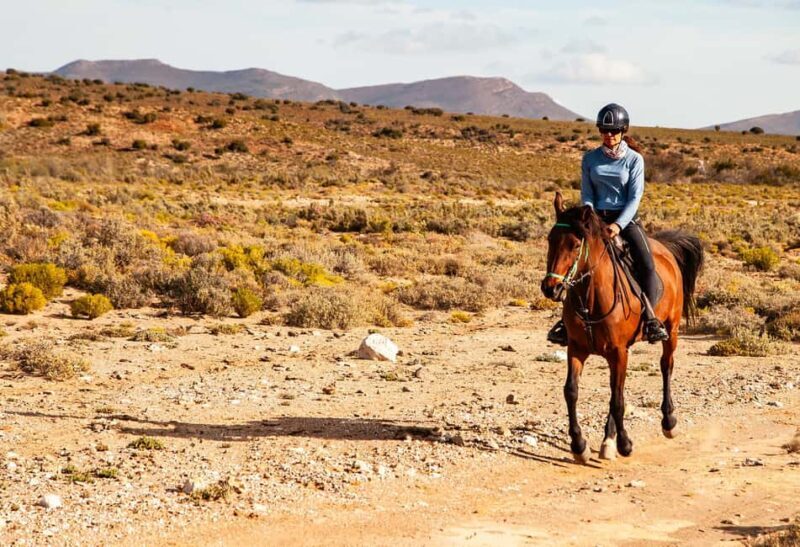Montagu: 3-Day Horse Riding Adventure with Big 5 Safari - Day 2: Relaxation and optional sunrise rides  