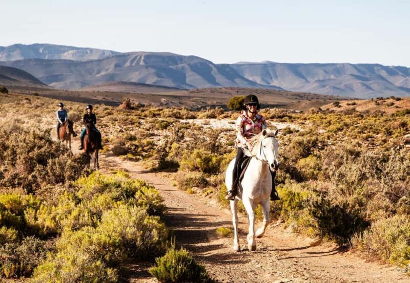 Montagu: 3-Day Horse Riding Adventure with Big 5 Safari - Day 3: A Wild Encounter with the Big Five  