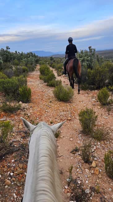 Montagu: 3-Day Horse Riding Adventure with Big 5 Safari - Practical Tips for Travelers  