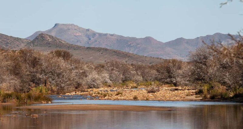 Montagu: 3-Day Horse Riding Adventure with Big 5 Safari - The Value and Who Will Love It  