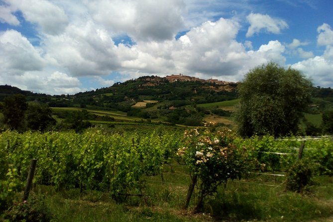 montalcino-and-pienza-tuscany-winecheese-shoreexcursion-from-civitavecchia-port