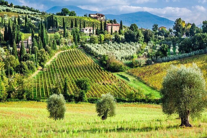 montalcino-and-pienza-tuscany-winecheese-shoreexcursion-from-civitavecchia-port
