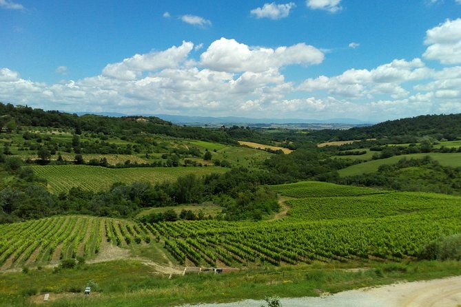 montalcino-and-pienza-tuscany-winecheese-shoreexcursion-from-civitavecchia-port