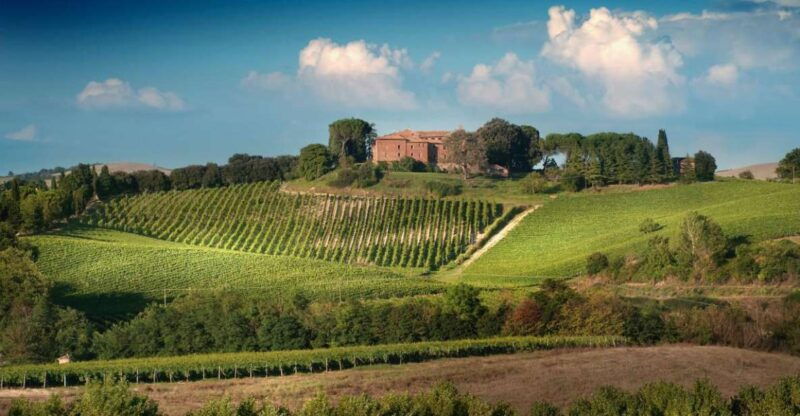 montalcino-brunello-wine-tasting-experience-2