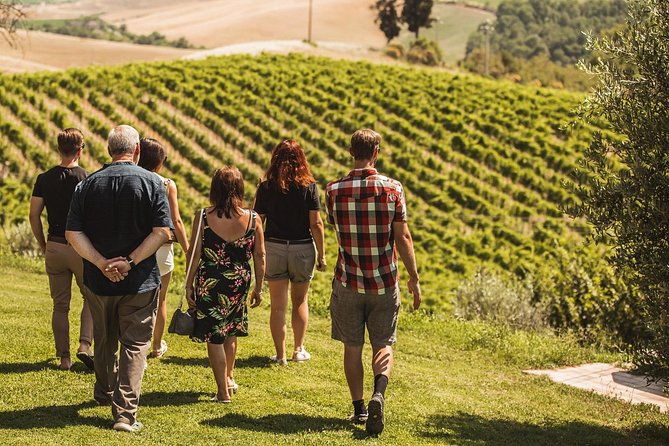montalcino-castle-and-vineyards-tour-with-tasting