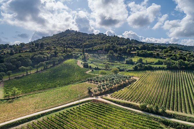 montalcino-cellar-tour-brunello-tasting-and-appetisers