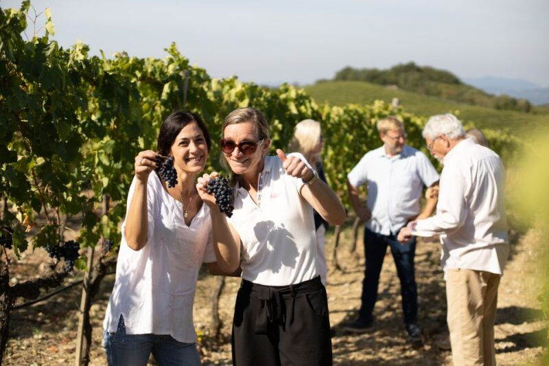 montalcino-guided-winery-tour-and-wine-tasting