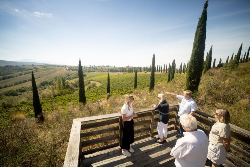 montalcino-guided-winery-tour-and-wine-tasting