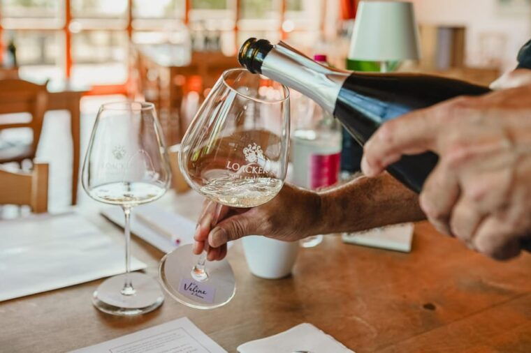 montalcino-guided-winery-tour-gourmet-food-tasting