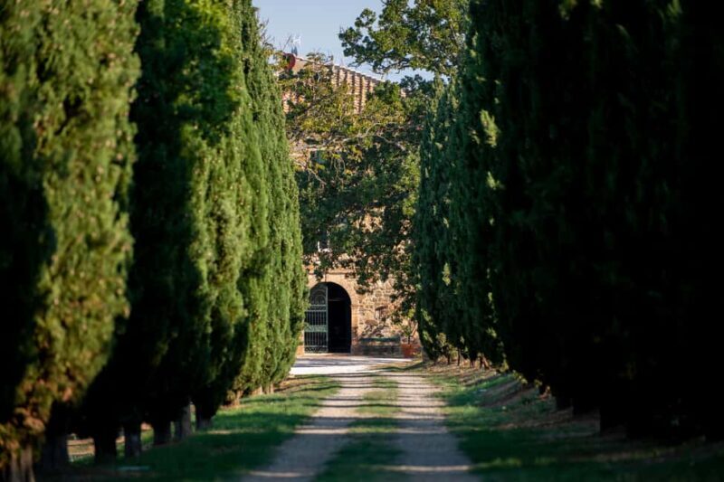 Montalcino: Vertical Tasting - Key Points