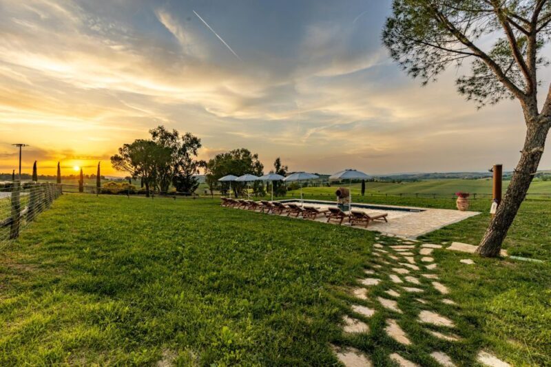 Montalcino: Vineyard Picnic with Rosso di Montalcino Wine - How This Tour Stands Out