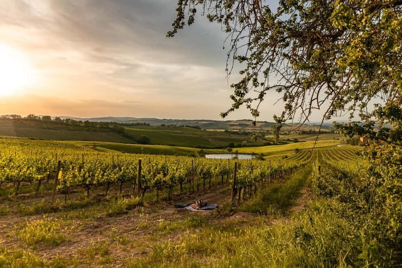 Montalcino: Wine Tasting and Tuscan Lunch - Final Thoughts