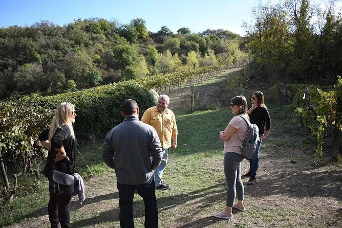 montalcino-wine-tour