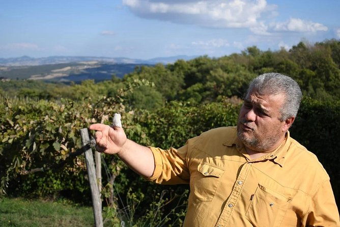 montalcino-wine-tour