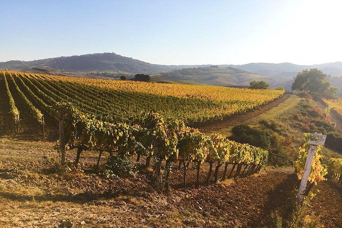 montalcino-wine-tour