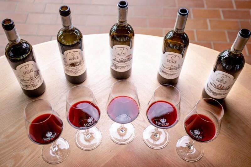 montalcino-winery-tour-gourmet-brunello-vertical-tasting
