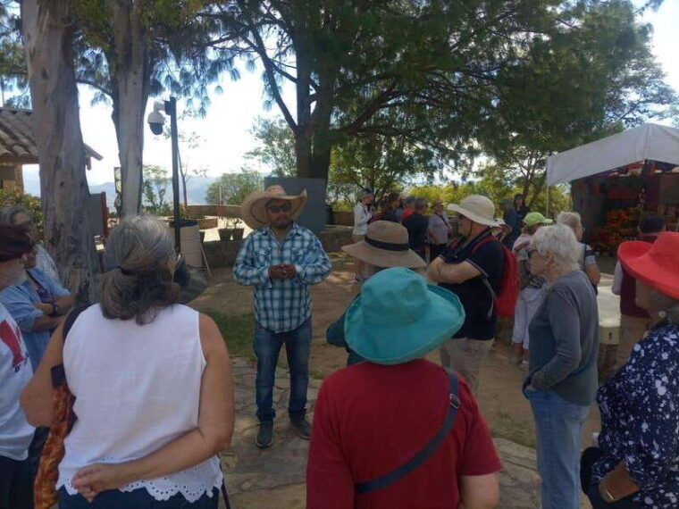 monte-alban-walking-tour