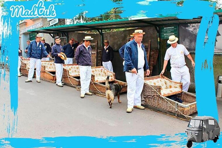 monte-toboggan-old-town-tuk-tuk-tour