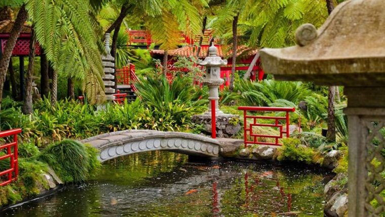 monte-tropical-gardens-old-town-tuk-tuk-tour