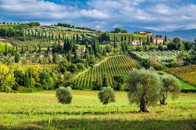 montecarlo-and-wine-tasting-from-lucca-private-tour