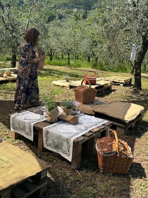 Montecatini Alto: Gourmet picnic among the olive trees with EVO oil pairing - Key Points