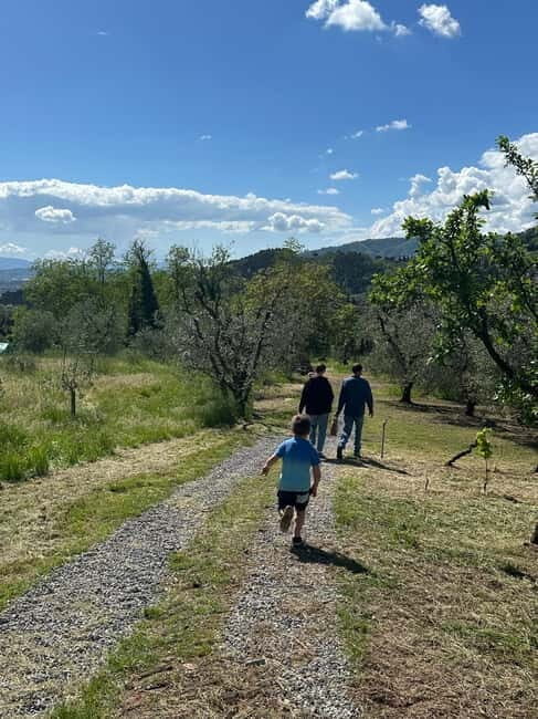 Montecatini Alto: Gourmet picnic among the olive trees with EVO oil pairing - Why This Tour Works Well