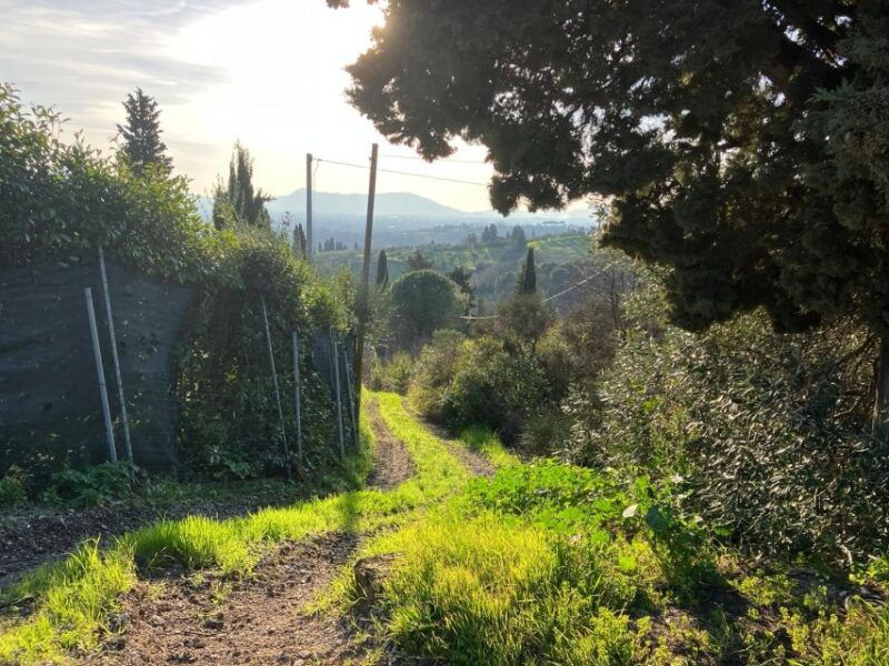 montecatini-terme-e-bike-adventure-in-val-di-nievole