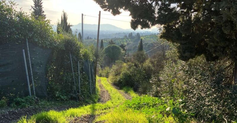 montecatini-terme-e-bike-adventure-in-val-di-nievole