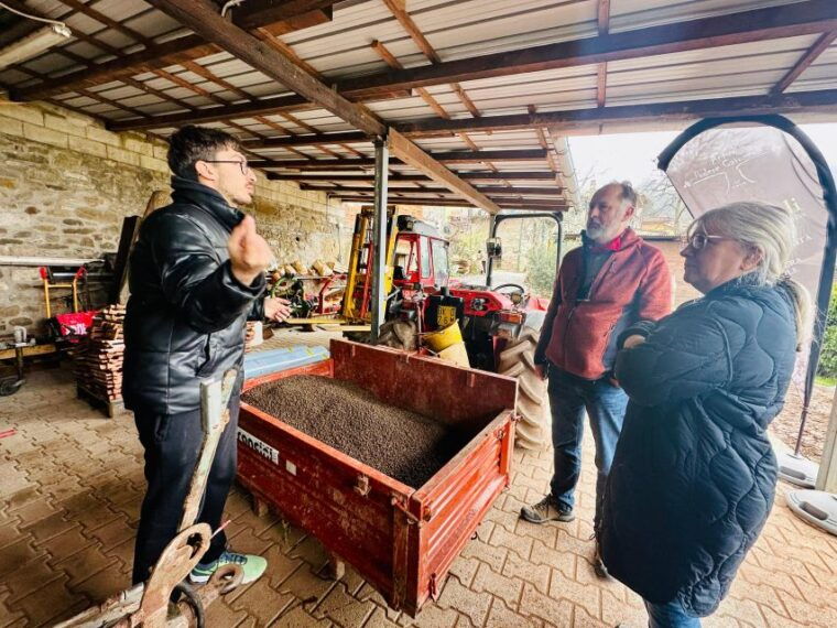 montecatini-terme-olive-grove-tour-with-oil-tasting