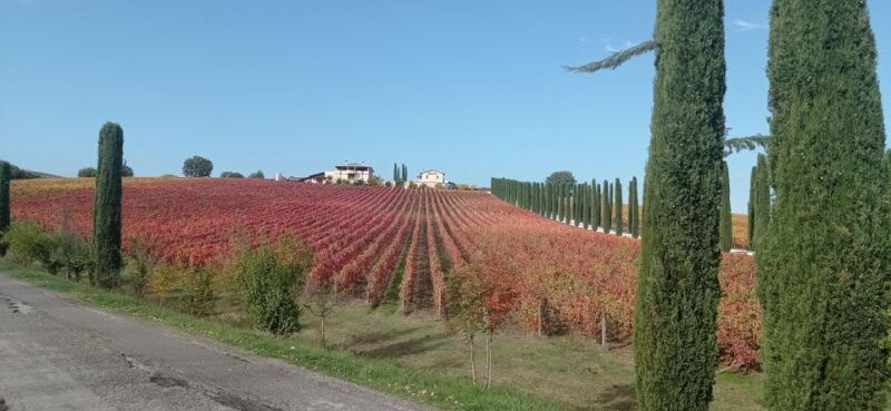 montefalco-and-bevagna-wine-tasting-full-day-tour