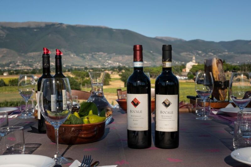 montefalco-winery-and-vineyard-tour-and-private-tasting