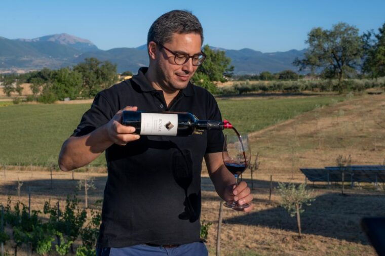 montefalco-winery-and-vineyard-tour-and-private-tasting