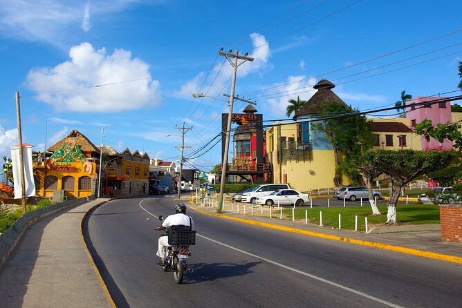 montego-bay-city-highlights-bird-sanctuary-shopping