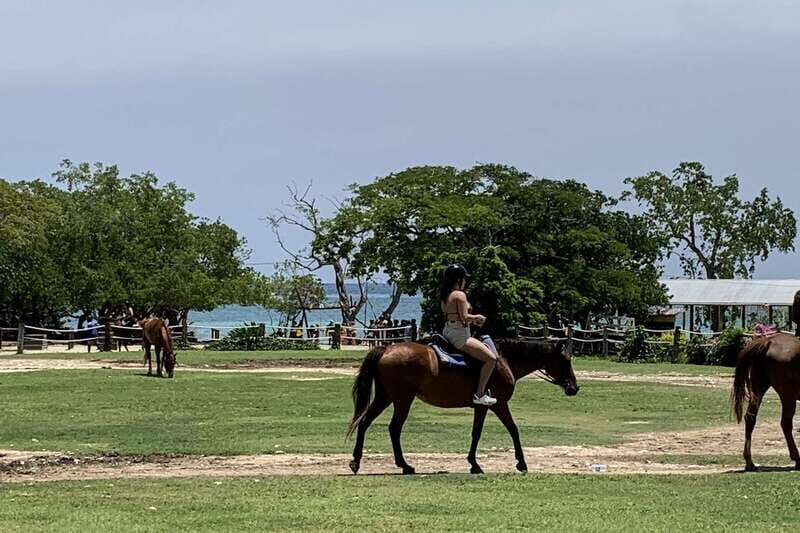 Montego Bay: Day Trip with Zipline, ATV, and Horseback Ride - An Honest Look at the Experience