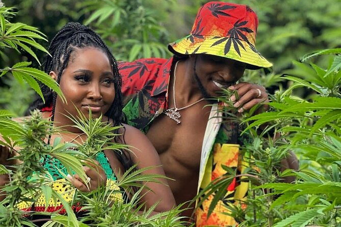 montego-bay-exotic-herbs-birds-and-animals-interaction-tour